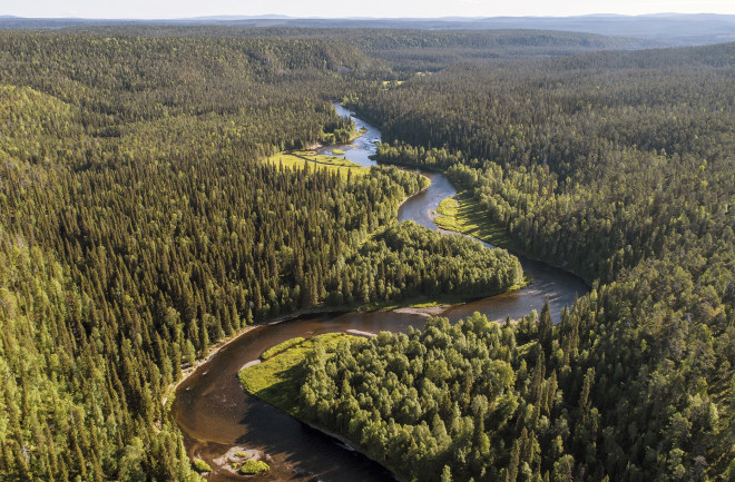 Excerpts from CD review of Wilderness Symphony No.&nbsp;1